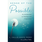 Sense of the Possible: An Introduction to Theology and Imagination - Paperback