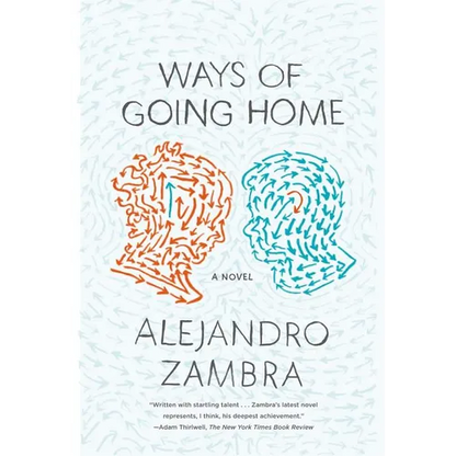 Ways of Going Home - Paperback