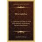 Silva Gadelica: A Collection of Tales in Irish with Extracts Illustrating Persons and Places - Paperback
