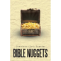 Bible Nuggets - Paperback