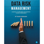 Data Risk Management: Essentials to implement an Enterprise Control Environment - Paperback