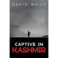 Captive in Kashmir - Paperback