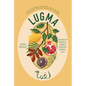 Lugma: Abundant Dishes and Stories from My Middle East - Hardcover