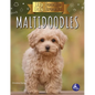 Maltidoodles - Hardcover