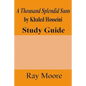 A Thousand Splendid Suns by Khaled Housseini: A Study Guide - Paperback