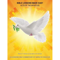 Bible Lessons Made Easy - Paperback