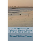 The adventures of Tubeness Flipness Cheese - Paperback