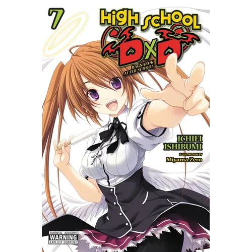 High School DXD, Vol. 7 (Light Novel): Ragnarok After School Volume 7 - Paperback