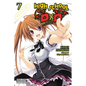 High School DXD, Vol. 7 (Light Novel): Ragnarok After School Volume 7 - Paperback