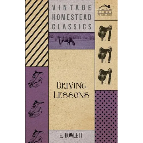 Driving Lessons - Paperback