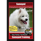 Samoyed Training Book for Samoyed Dogs & Puppies By BoneUP DOG Training, Dog Care, Dog Behavior, Hand Cues Too! Are You Ready to Bone Up? Easy Trainin - Paperback