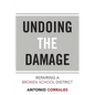 Undoing the Damage: Repairing a Broken School District - Paperback