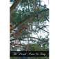 The Parish Priest On Duty: A Practical Manual For Pastors, Curates, And Theological Students Preparing For The Mission - Paperback