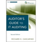 Auditor's Guide to It Auditing, + Software Demo - Hardcover