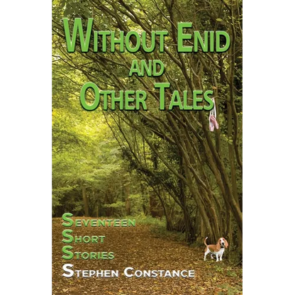 Without Enid and other Tales: Seventeen Short Stories - Paperback