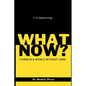 What Now?: Living in a world without jobs - Paperback