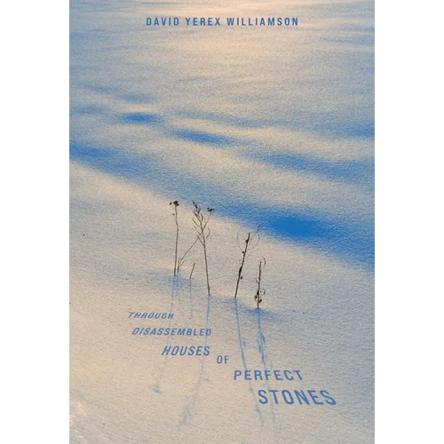 Through Disassembled Houses of Perfect Stones - Paperback