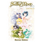 Sailor Moon Eternal Edition 10 - Paperback
