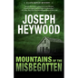 Mountains of the Misbegotten: A Lute Bapcat Mystery - Paperback