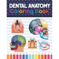 Dental Anatomy Coloring Book: Fun and Easy Adult Coloring Book for Dental Assistants, Dental Students, Dental Hygienists, Dental Therapists, Periodo - Paperback