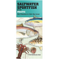 Saltwater Sportfish of the Pacific: San Francisco to Cabo San Lucas - Hardcover