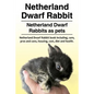 Netherland Dwarf Rabbit. Netherland Dwarf Rabbits as pets. Netherland Dwarf Rabbit book including pros and cons, care, housing, cost, diet and health. - Paperback