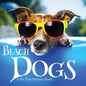 Beach Dogs, A No Text Picture Book: A Calming Gift for Alzheimer Patients and Senior Citizens Living With Dementia - Paperback