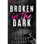 Broken in the Dark - Paperback