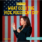 What Does the Vice President Do? - Library Binding