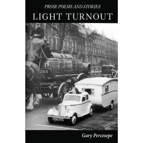 Light Turnout: Prose Poems and Stories - Paperback