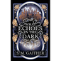 What Echoes in the Dark - Paperback