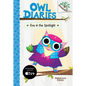 Eva in the Spotlight: A Branches Book (Owl Diaries #13): Volume 13 - Hardcover