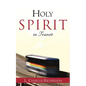 Holy Spirit in Transit - Paperback