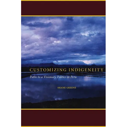 Customizing Indigeneity: Paths to a Visionary Politics in Peru - Paperback