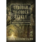 Through the Codes Darkly: Slave Law and Civil Law in Louisiana - Hardcover
