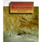 Cave Paintings of Baja California - Hardcover