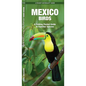 Mexico Birds: A Folding Pocket Guide to Familiar Species