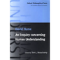 An Enquiry Concerning Human Understanding - Paperback