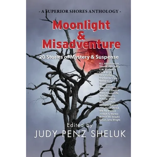 Moonlight & Misadventure: 20 Stories of Mystery & Suspense - Paperback
