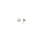 14k Yellow Gold 1.90 ct Cubic Zirconia Round Earrings