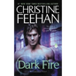 Dark Fire: A Carpathian Novel - Paperback