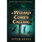 A Wizard Comes Calling - Paperback