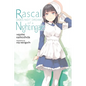 Rascal Does Not Dream of a Nightingale (Light Novel): Volume 11 - Paperback