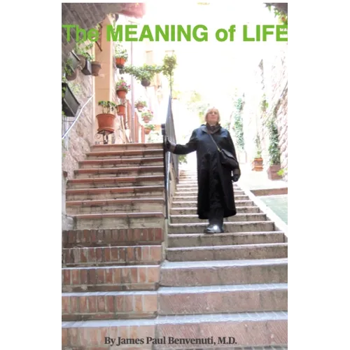 The MEANING of LIFE: (Going Into the Light) - Paperback