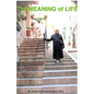 The MEANING of LIFE: (Going Into the Light) - Paperback