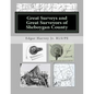 Great Surveys and Great Surveyors of Sheboygan County - Paperback