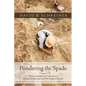 Pondering the Spade: Discussing Important Convergences Between Archaeology and Old Testament Studies - Hardcover