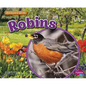 Robins - Paperback
