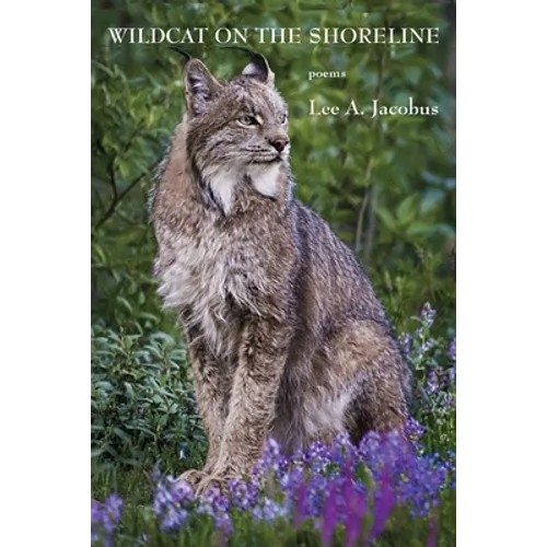 Wildcat on the Shoreline - Paperback