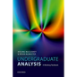 Undergraduate Analysis: A Working Textbook - Paperback